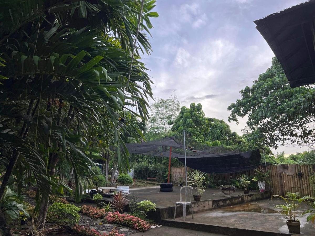 Bohol Island Homestay Dauis Extérieur photo
