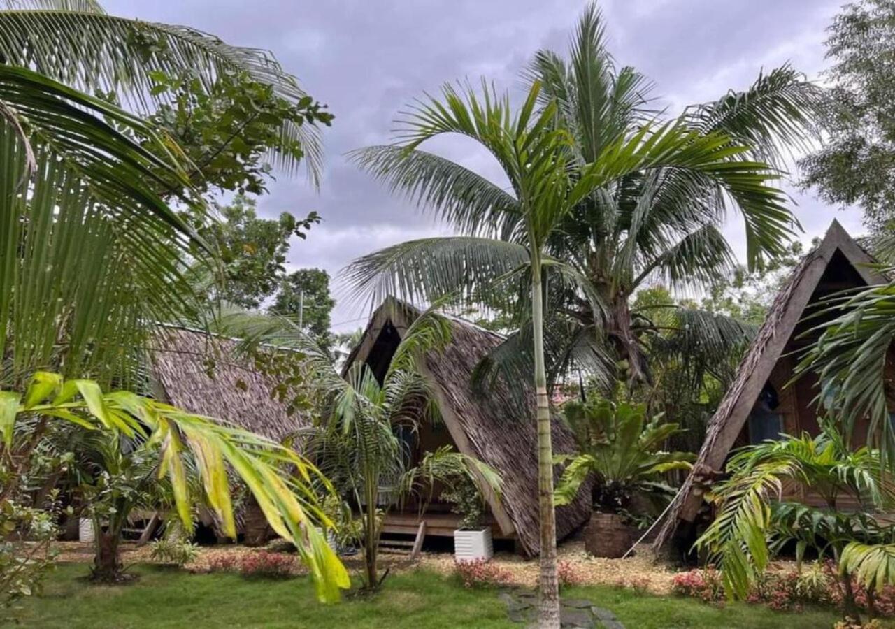 Bohol Island Homestay Dauis Extérieur photo