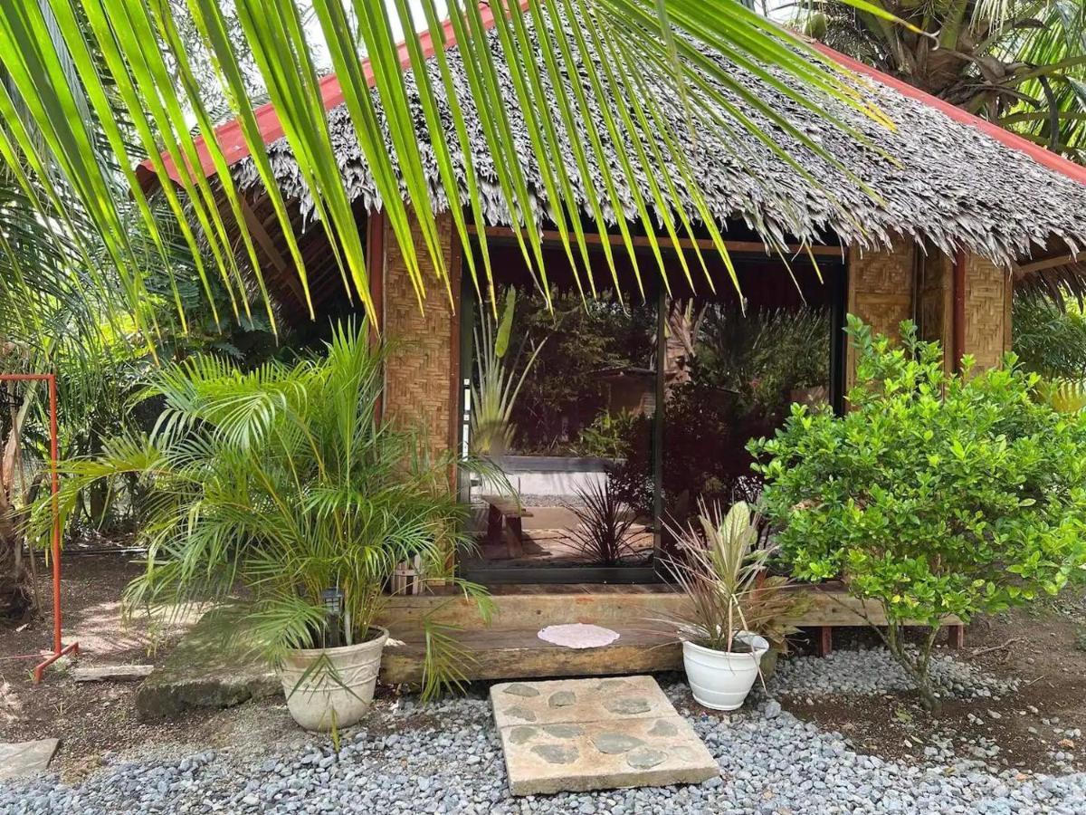 Bohol Island Homestay Dauis Extérieur photo