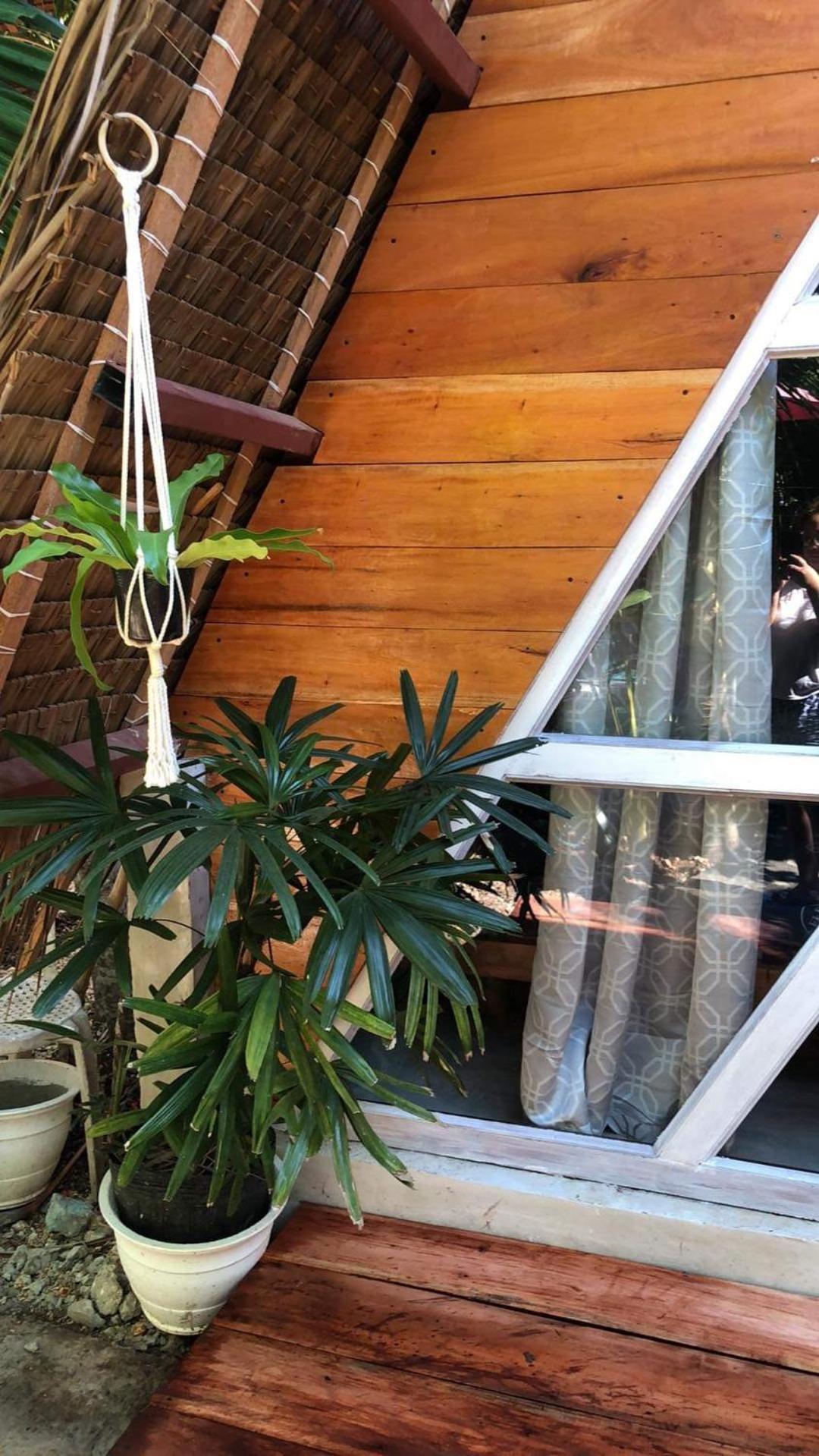 Bohol Island Homestay Dauis Extérieur photo