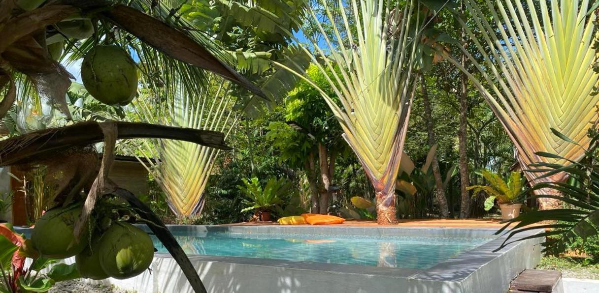 Bohol Island Homestay Dauis Extérieur photo