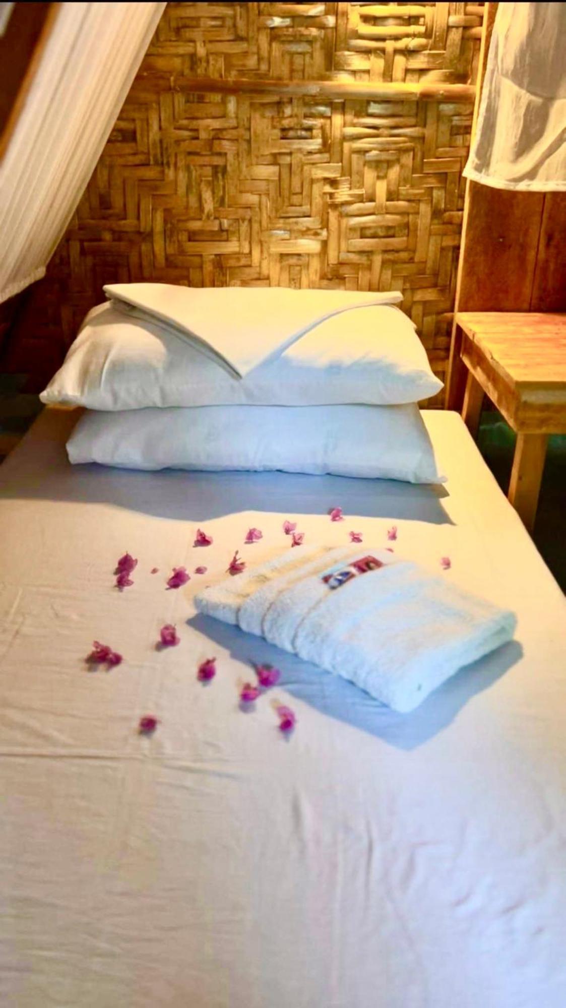Bohol Island Homestay Dauis Extérieur photo