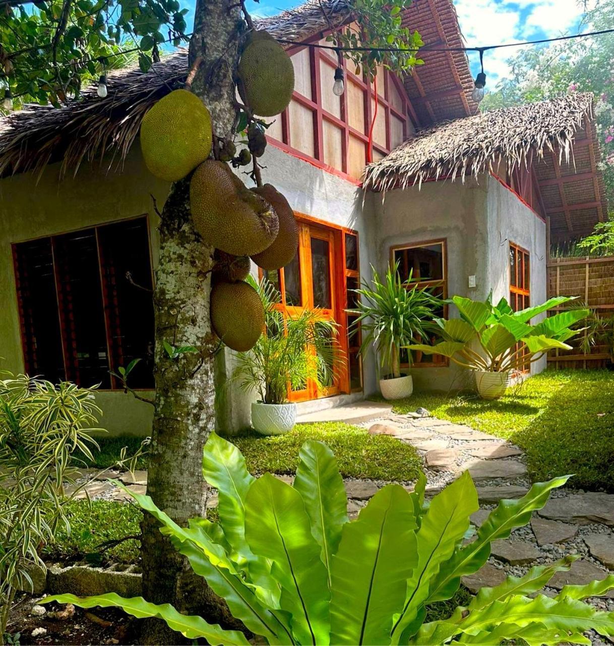 Bohol Island Homestay Dauis Extérieur photo