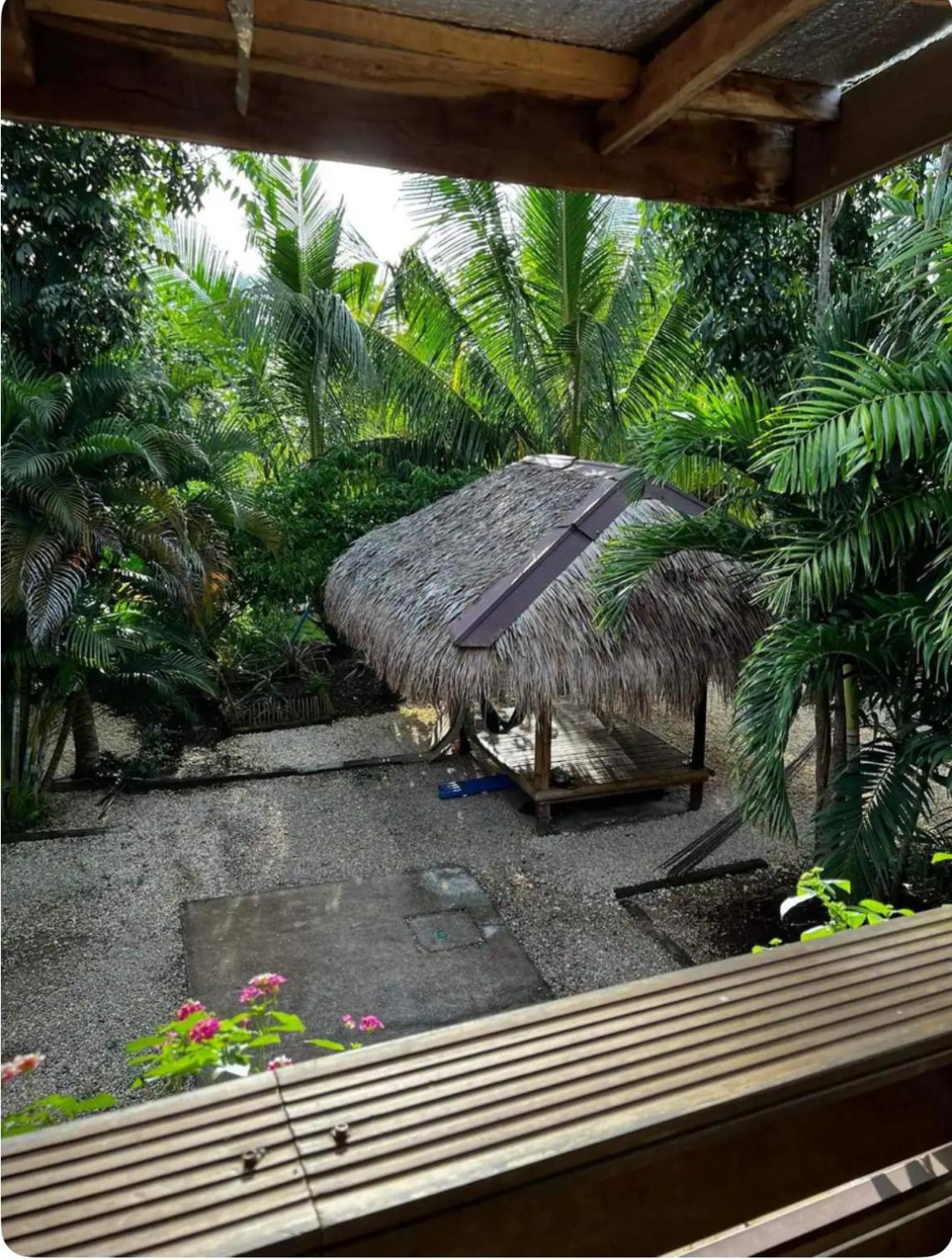 Bohol Island Homestay Dauis Extérieur photo